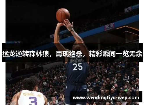 猛龙逆转森林狼，再现绝杀，精彩瞬间一览无余