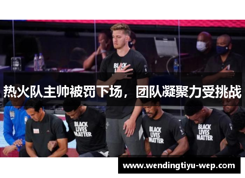 热火队主帅被罚下场，团队凝聚力受挑战