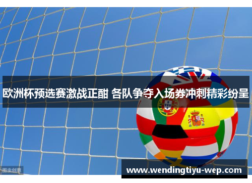 欧洲杯预选赛激战正酣 各队争夺入场券冲刺精彩纷呈