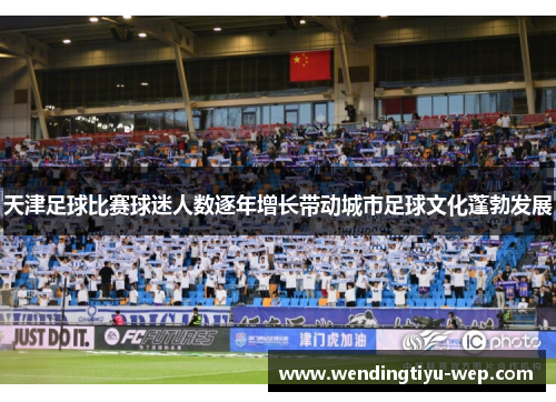 天津足球比赛球迷人数逐年增长带动城市足球文化蓬勃发展